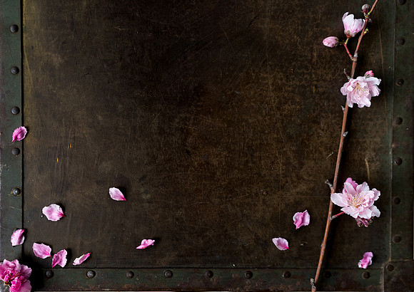 Peach Blossoms-7