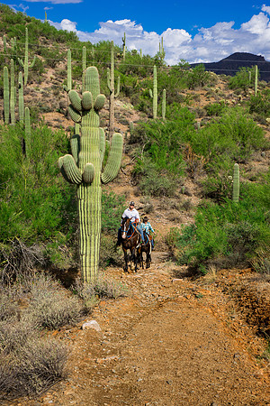 Spur Cross Stables-3-19