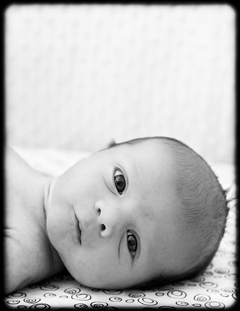 Foskett Creative Photography --7