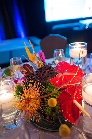 FoskettCreative2014-10-1386