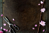 Peach Blossoms-8