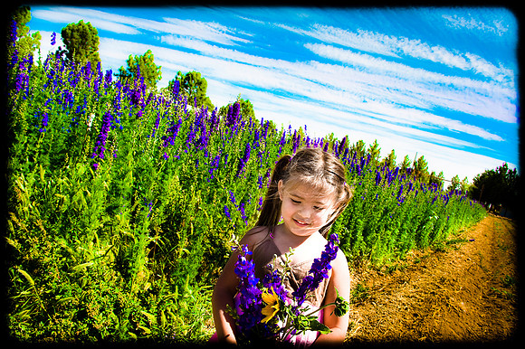 2010 Foskett Creative-47