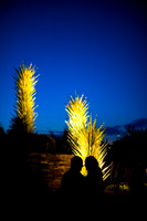 Desert Botanical Gardens