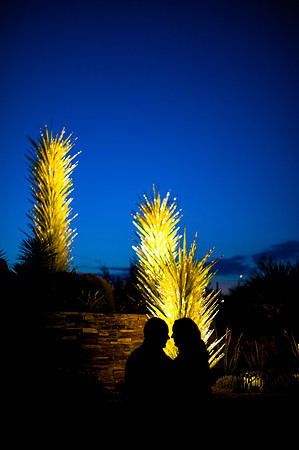 Desert Botanical Gardens