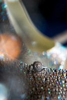 FoskettCreative2014-8--21
