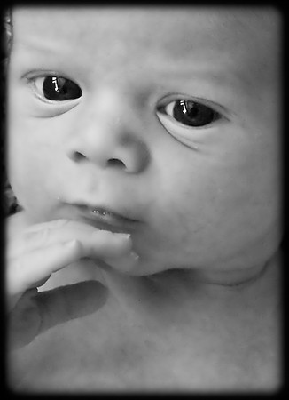 Foskett Creative Photography --14