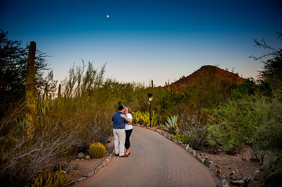 Desert Botanical Gardens