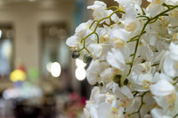 2013-9 FoskettCreative.com-157