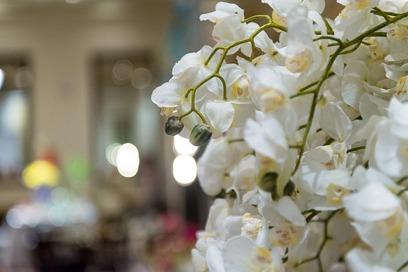 2013-9 FoskettCreative.com-157