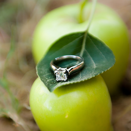 2010 Foskett Creative-508