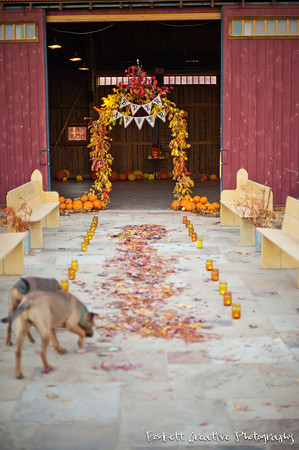 Foskett Creative Photography -363