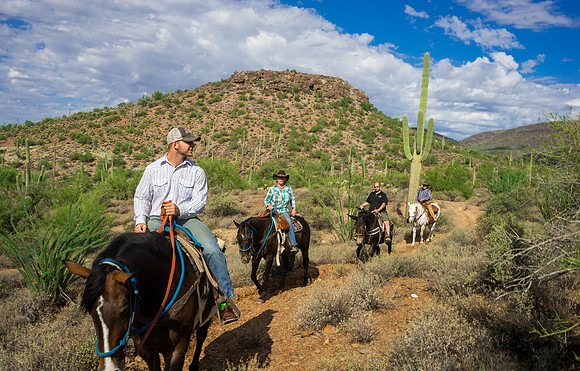 Spur Cross Stables-3-33