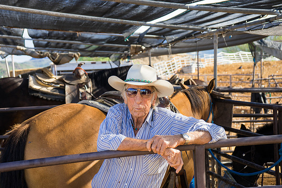 Spur Cross Stables-3-5