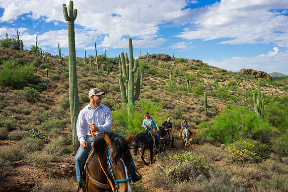 Spur Cross Stables-3-46