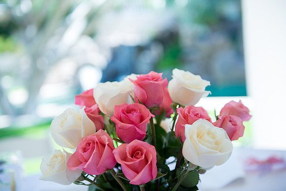 2013-10 FoskettCreative.com-18-2