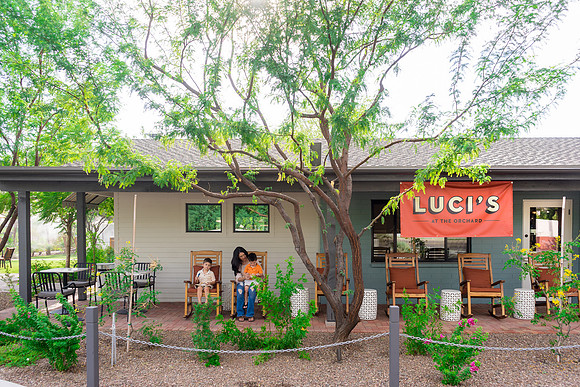 The Orchard Phoenix-304