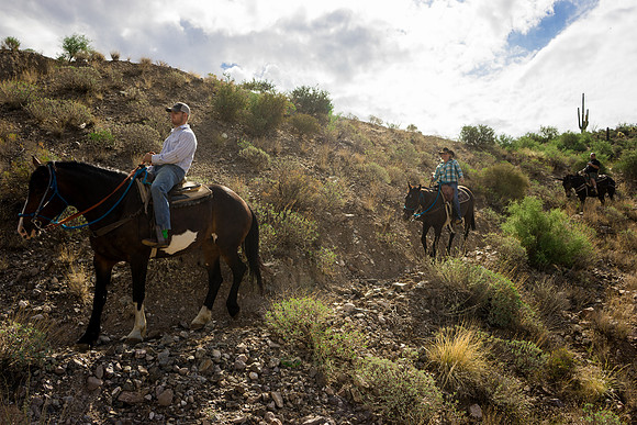 Spur Cross Stables-2-4