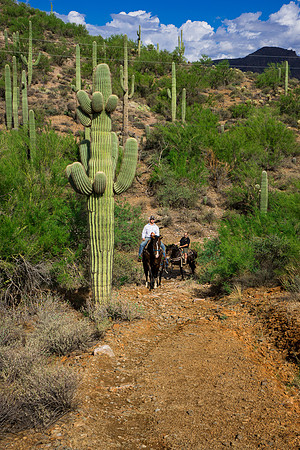 Spur Cross Stables-3-18
