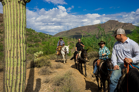Spur Cross Stables-3-31