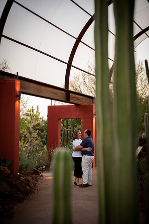 Desert Botanical Gardens