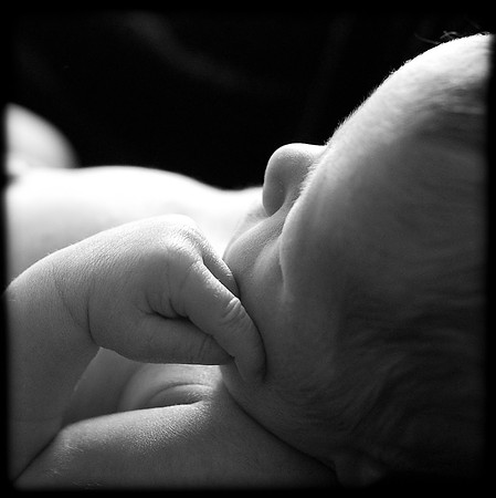 Foskett Creative Photography -236