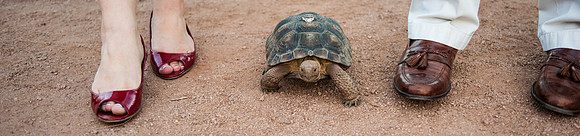 2012-6 -30 Foskettcreative -302