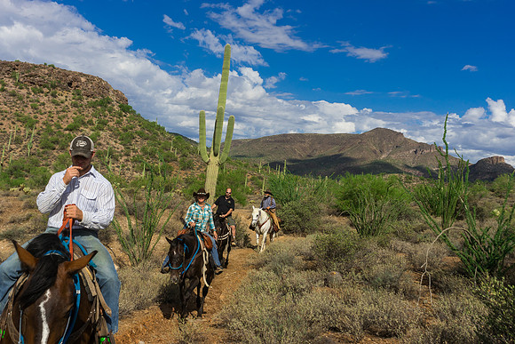 Spur Cross Stables-3-32