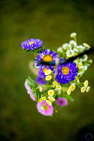 2013-5 Foskettcreative.com-1444