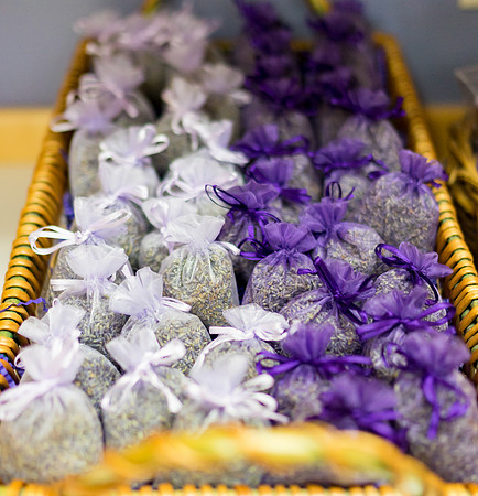 Lavendar Festival