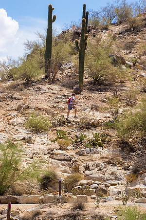 South Mountain-8