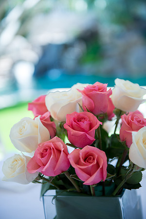 2013-10 FoskettCreative.com-15-2