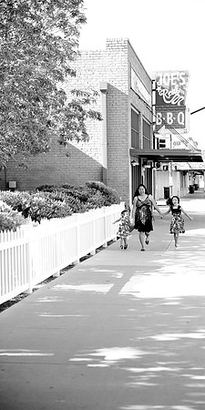2010 Foskett Creative-235
