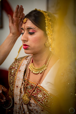 2012-11 FoskettCreative.com-459-4