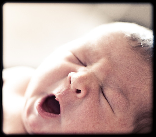 Foskett Creative Photography -77