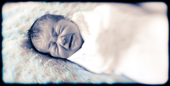 Foskett Creative Photography -402