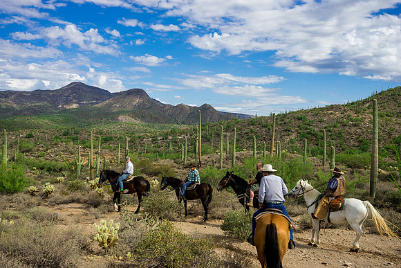 Spur Cross Stables-3-80