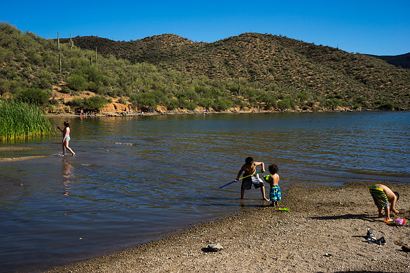 Saguaro Lake