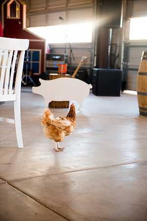 2012 Foskett Creative-2467