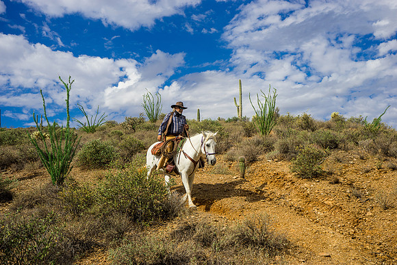 Spur Cross Stables-3-83