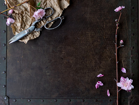 Peach Blossoms-2