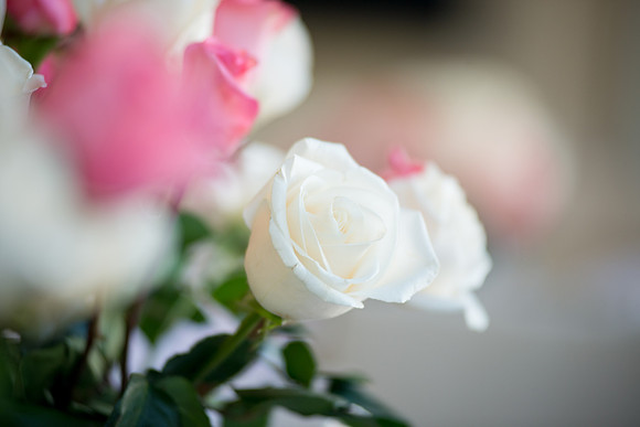 2013-10 FoskettCreative.com-402