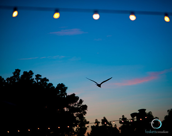 untitled-6126