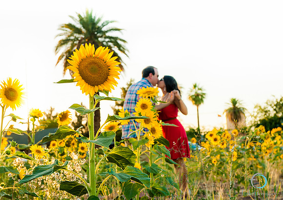 FoskettCreative20120606-974