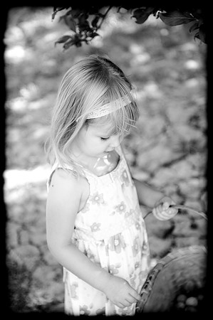 2010 Foskett Creative-103