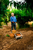 2011-5 Schnepf Farms Whole Foods Shoot-2904