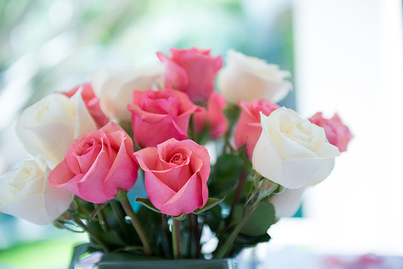 2013-10 FoskettCreative.com-20-2