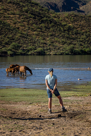 Salt River Wild Horses-793