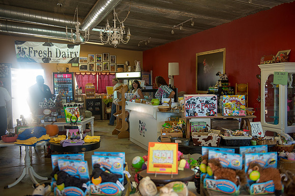 2012 Foskett Creative-2474
