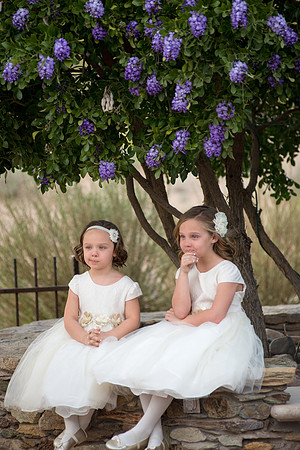 2014-2 Foskettcreative.com-735-2