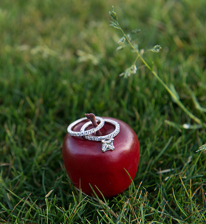 2014-2 FoskettCreative.com-540
